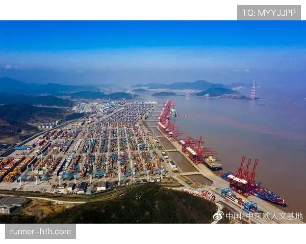 上海海港浦东迎新政策红利，港口复苏助推经济回暖