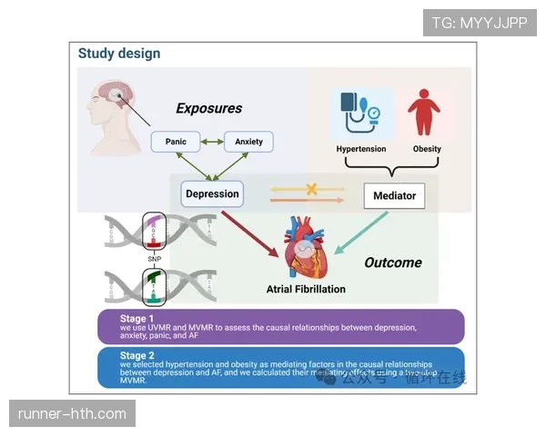 赖斯个人表现与团队成绩的生涯关联分析